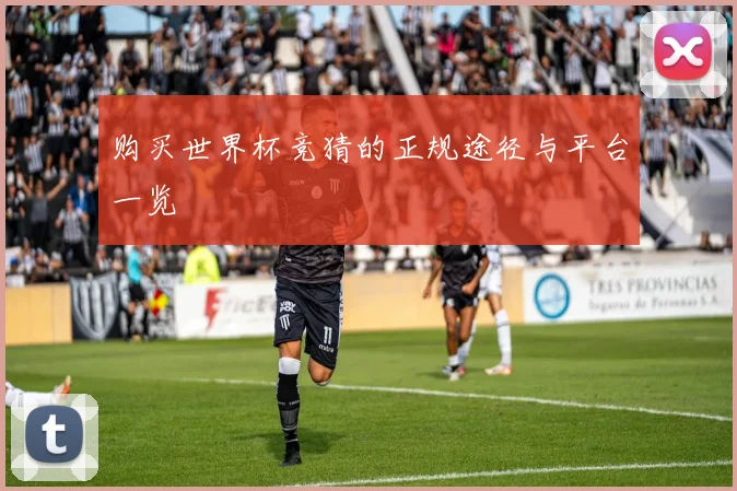 购买世界杯竞猜的正规途径与平台一览