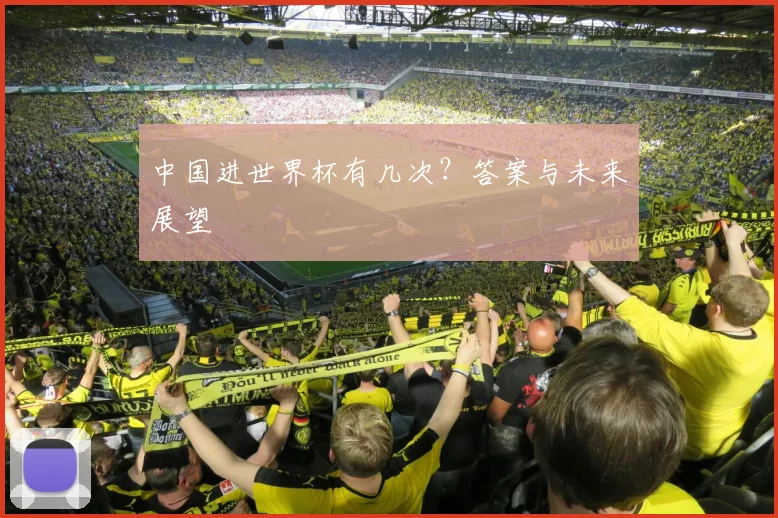 中国进世界杯有几次？答案与未来展望