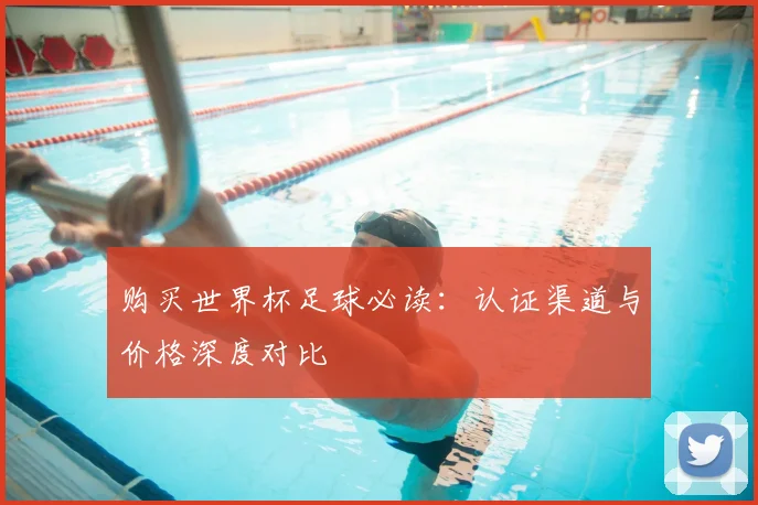 购买世界杯足球必读：认证渠道与价格深度对比