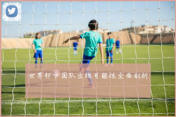 世界杯中国队出线可能性全面剖析
