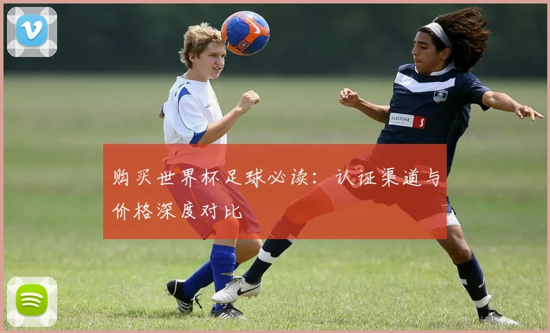 购买世界杯足球必读：认证渠道与价格深度对比