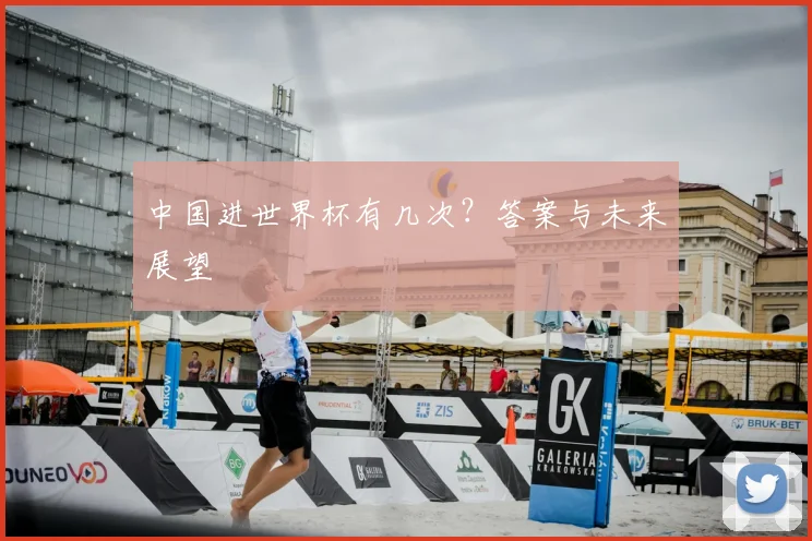 中国进世界杯有几次？答案与未来展望