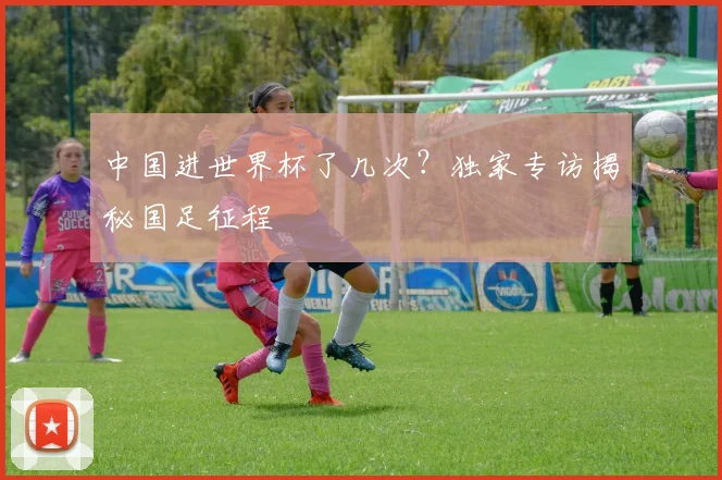 中国进世界杯了几次？独家专访揭秘国足征程