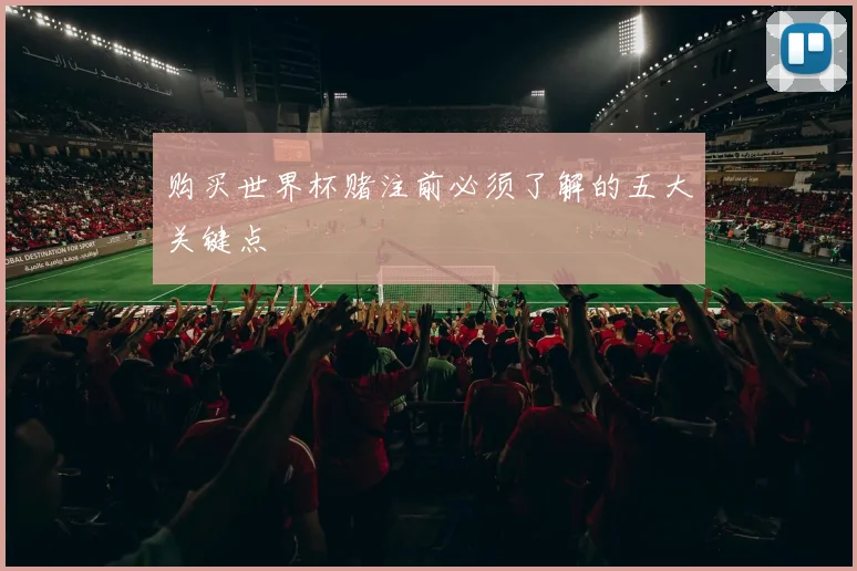 购买世界杯赌注前必须了解的五大关键点